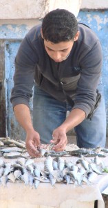 Un ragazzo al mercato del pesce