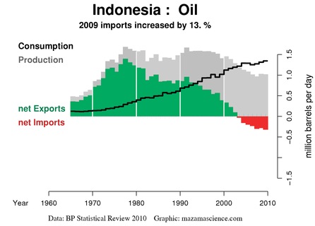 Il grafico dell'Export Land Model dell'Indonesia relativo al 2009