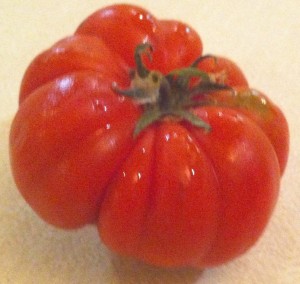 Un pomodoro per la ricetta di Fabio Picchi