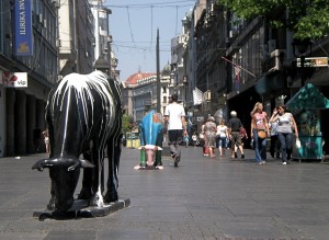 Mucche a Belgrado, foto di Federica Maietti