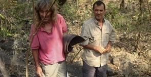 bosusco colangelo interna