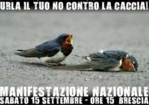 manifestazione anti-caccia