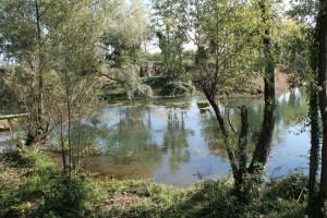 risorgive, povegliano veronese