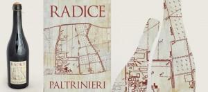 Lambrusco- radice-Sorbara