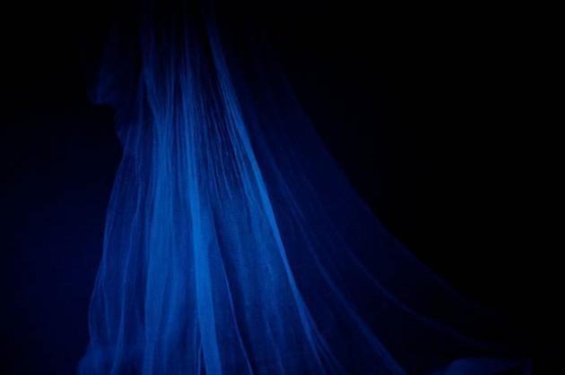 Bartosz Matenko. Zanzariera