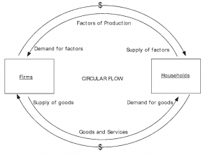 Nicholas Georgescu-Roegen: processo economico