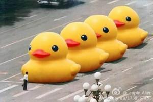 tiennamen anniversario