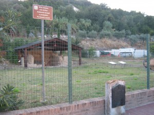 cupramarittima -archeologia