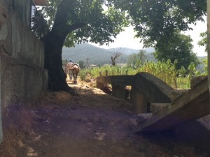 giro del mondo - marocco