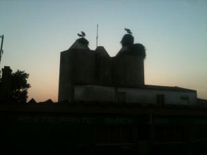 Comporta - Il giro del mondo contromano