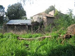 osteria-romana-centocelle