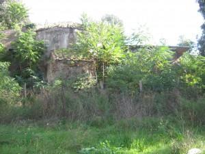 osteria-romana-centocelle