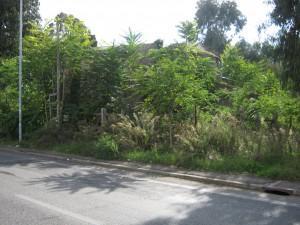 osteria-romana-centocelle