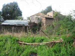 osteria-romana-centocelle