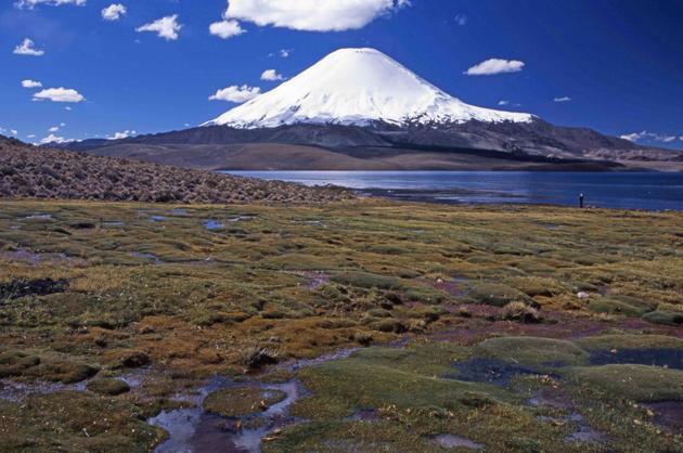 Lauca, Cile