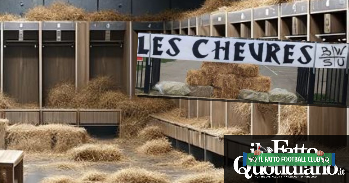 Domeniche Bestiali – “Buon lavoro nel ripulire la vostra stalla, capre”: i tifosi delusi riempiono di fieno il centro sportivo dello Charleroi