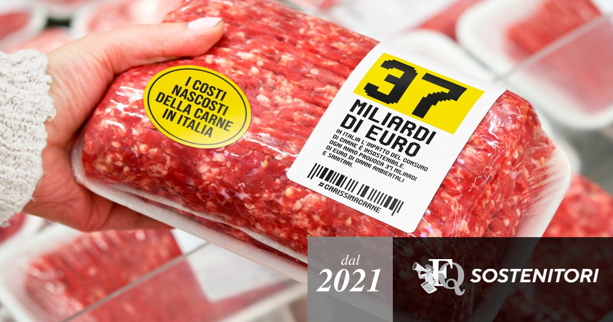 L’insostenibile costo della carne – Le emissioni legate al ciclo di vita dei bovini inquinano come le più grandi centrali a carbone d’Europa
